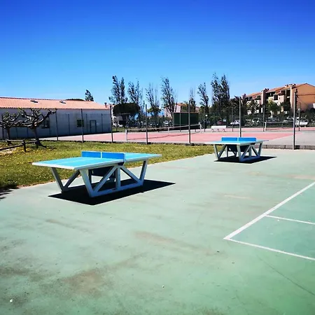 Palmyra - T2 4 Pers - Wifi - Piscine Incluse Mae-4404 Apartment *
